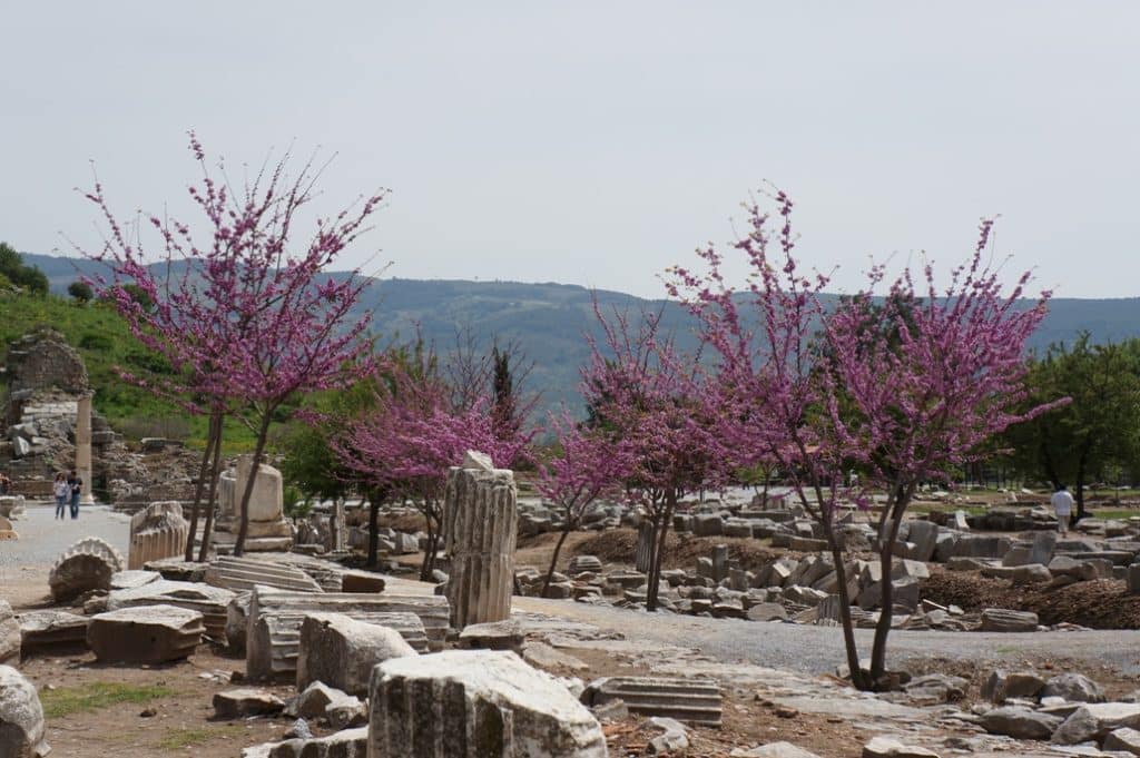 rozvaliny starobylého města Efes, poblíž Tureckého města Selcuk